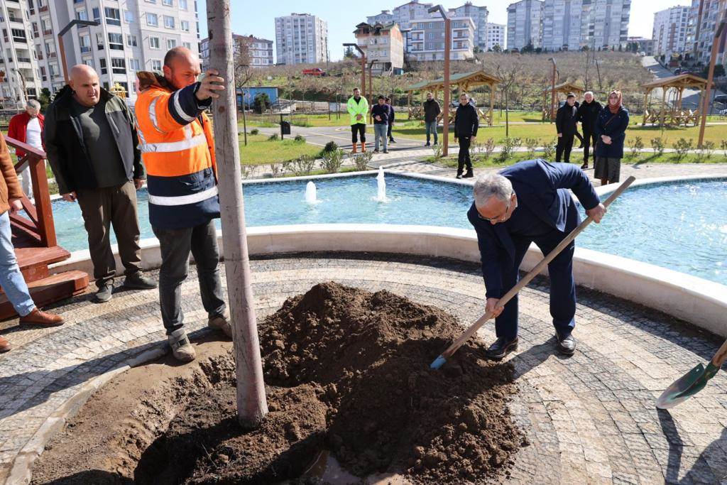 BÜYÜKŞEHİRDEN 'YEŞİL SEFERBERLİK'